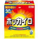 ホッカイロ 貼らない レギュラー 30個入 使い捨て カイロ 日本製 