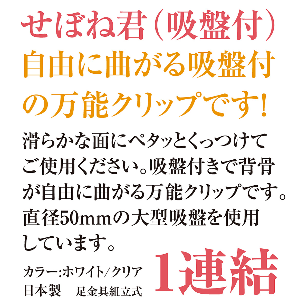 せぼね君吸盤付 