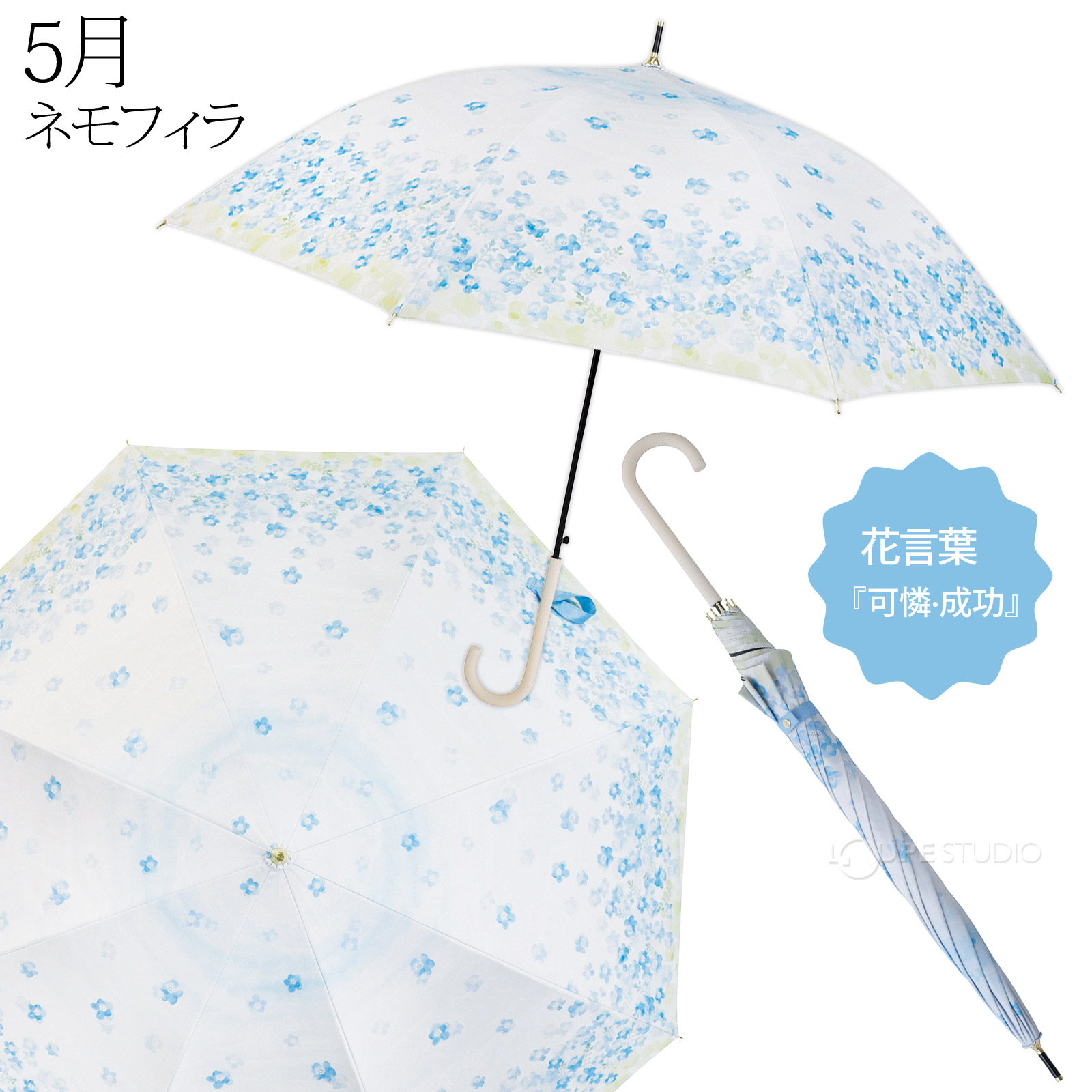 5月 