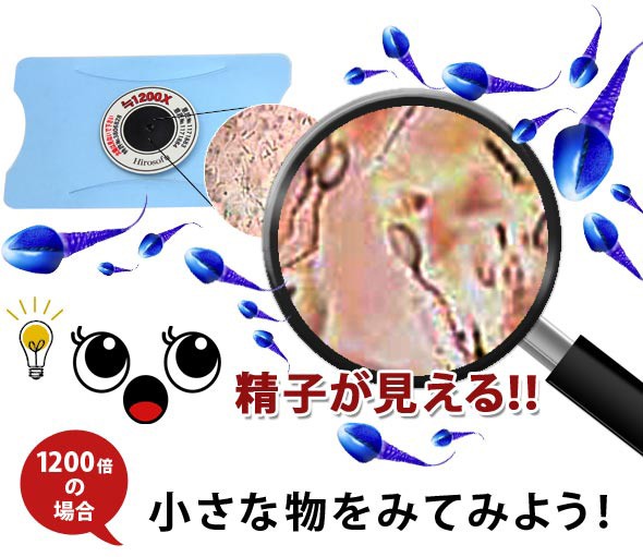 ゆうメール便送料無料 小型カード顕微鏡 10倍 精子や血液 顕微球 ゆうメール配送 Microcard03 ルーペスタジオ 通販 Yahoo ショッピング