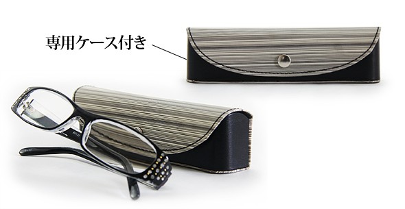 専用ケースイメージ