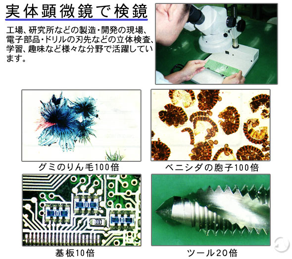 実体顕微鏡 ズーム実体顕微鏡 SPZ-50FTP 6.7倍〜50倍 カートン