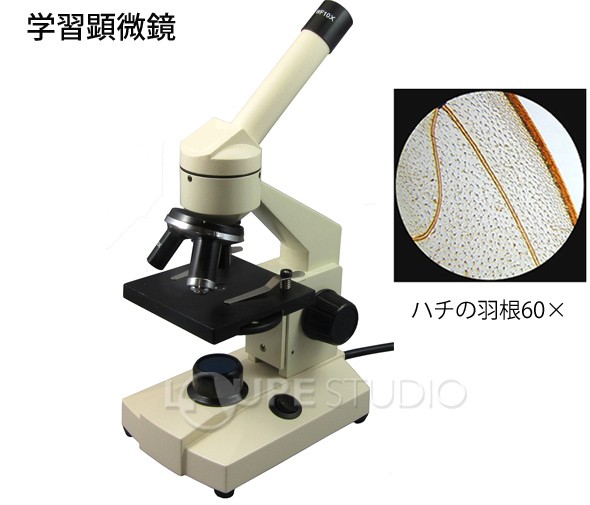 生物顕微鏡 学習顕微鏡 MS-600L ミザールテック : ルーペ