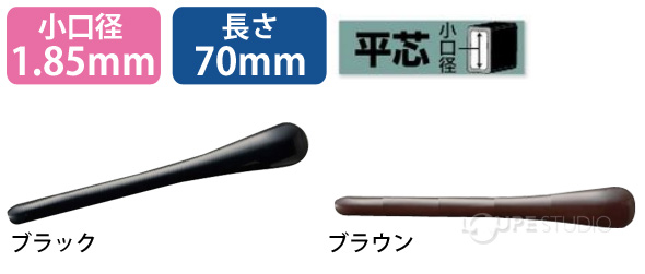 本体