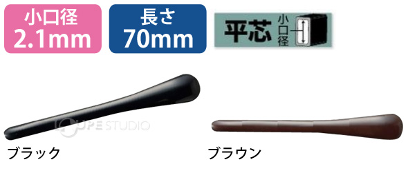 本体