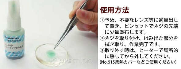 本体