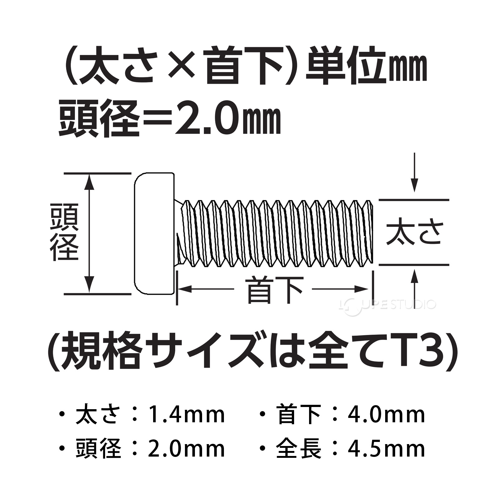 サイズ