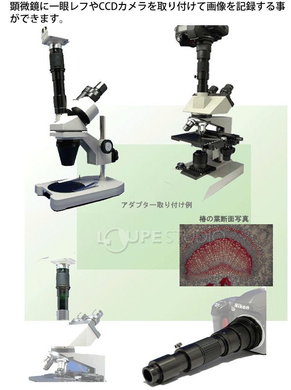 41Y8mU3nZxL._AC_UF1000,