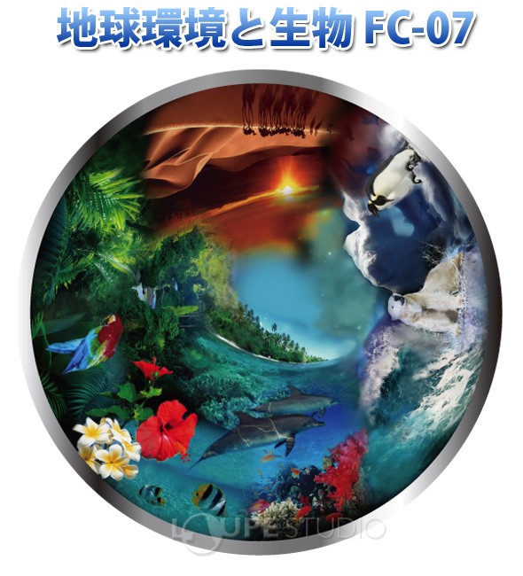 地球環境と生物 FC-07 