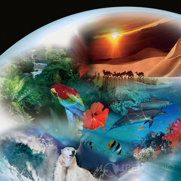 地球環境と生物 FC-07 