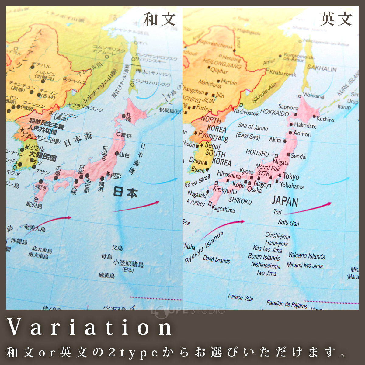 和文・英文 