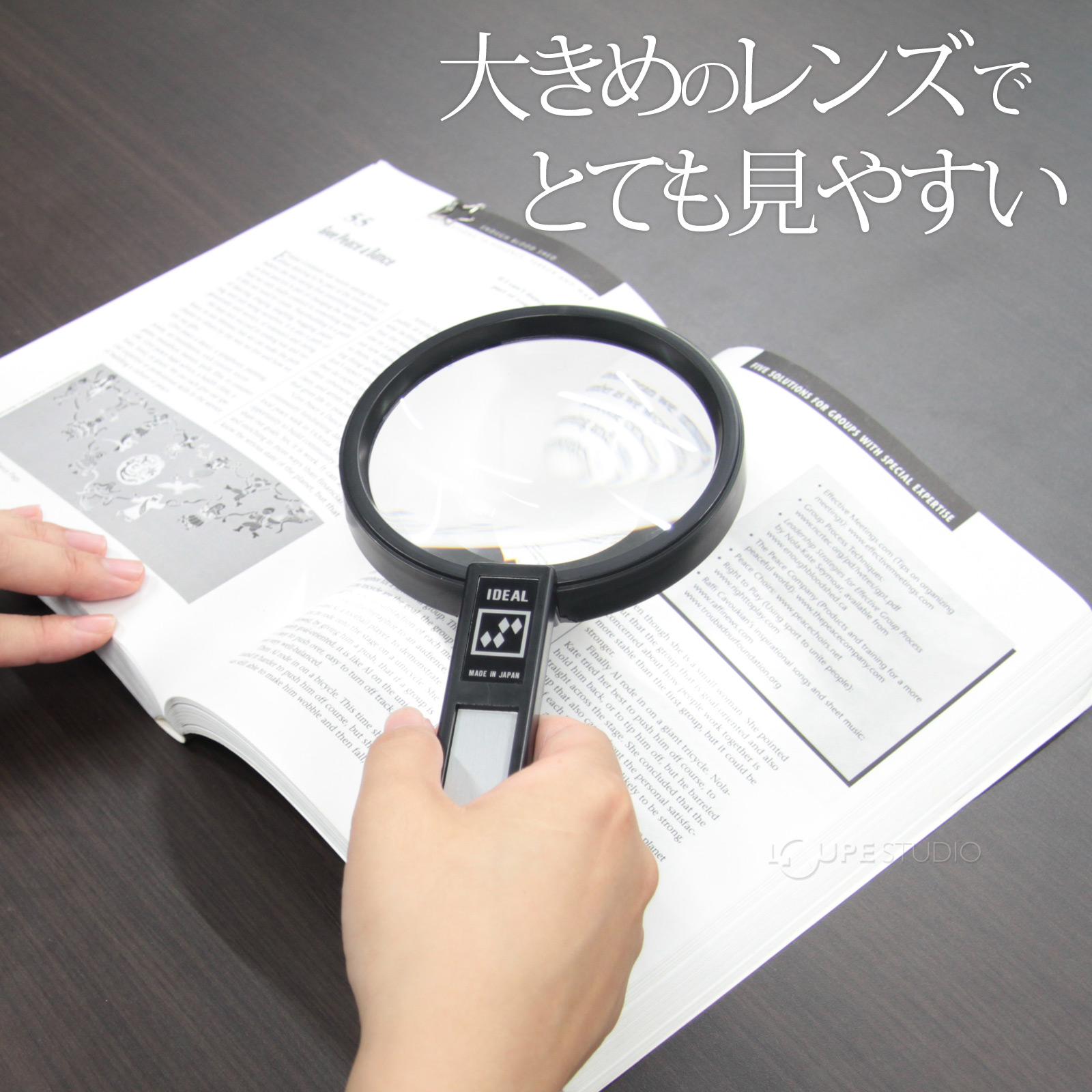 強めの倍率で大変見やすい