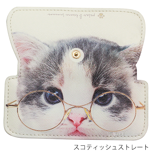 スコティッシュストレート 