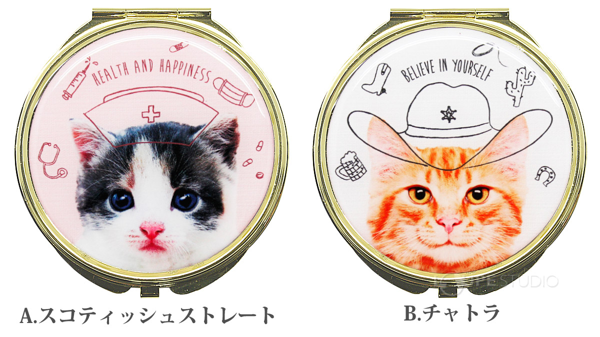 A.スコティッシュストレート&B.チャトラ 