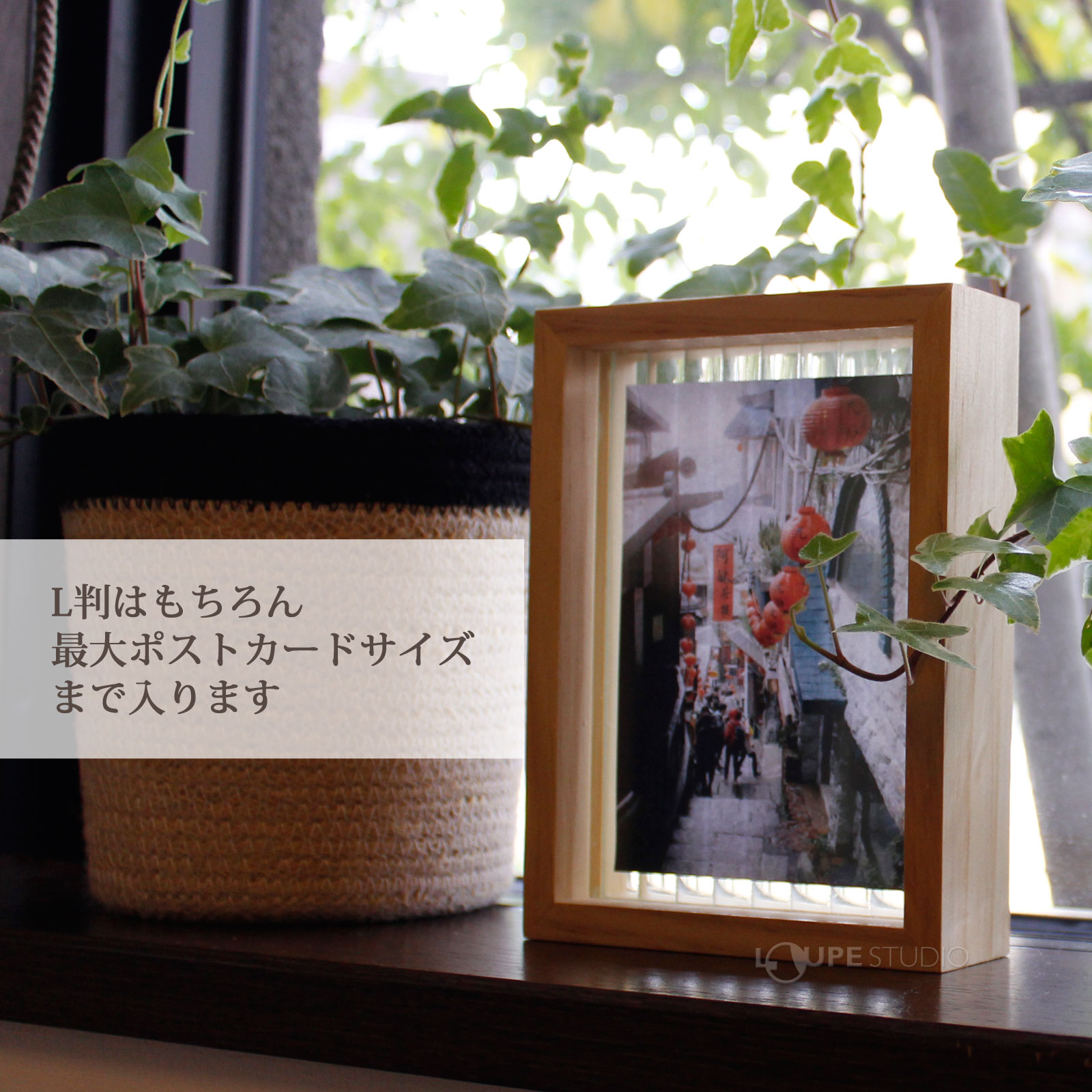 L判はもちろん最大ポストカードサイズまで入ります 