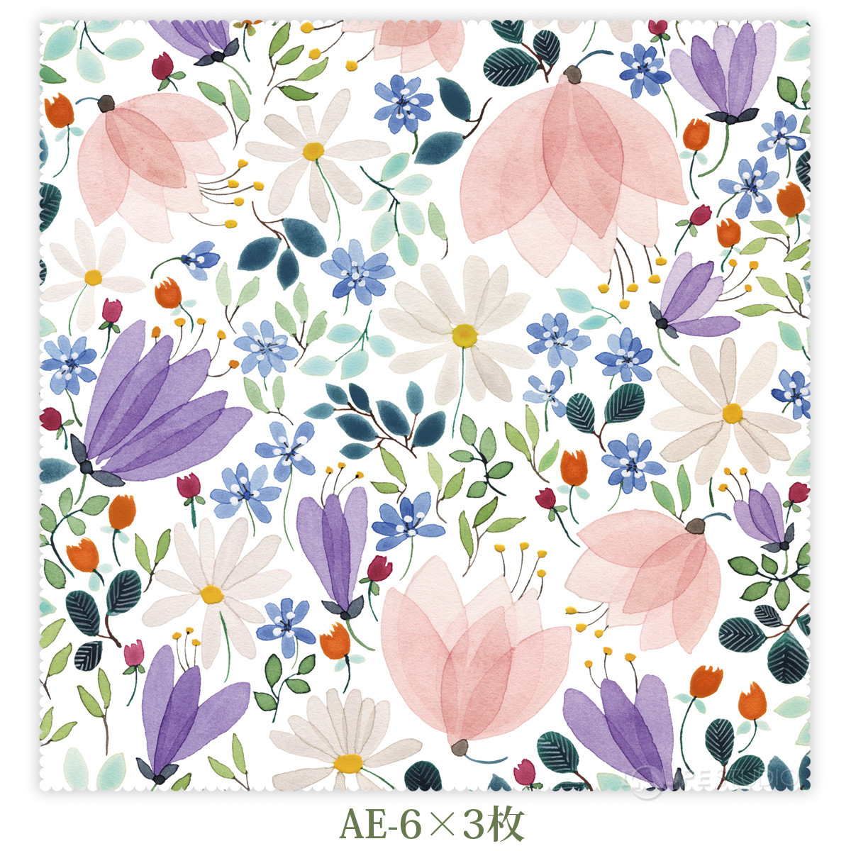 AE-6×3枚