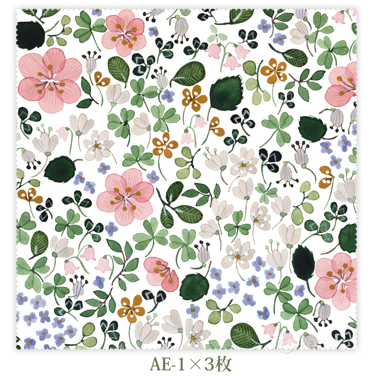 AE-1×3枚