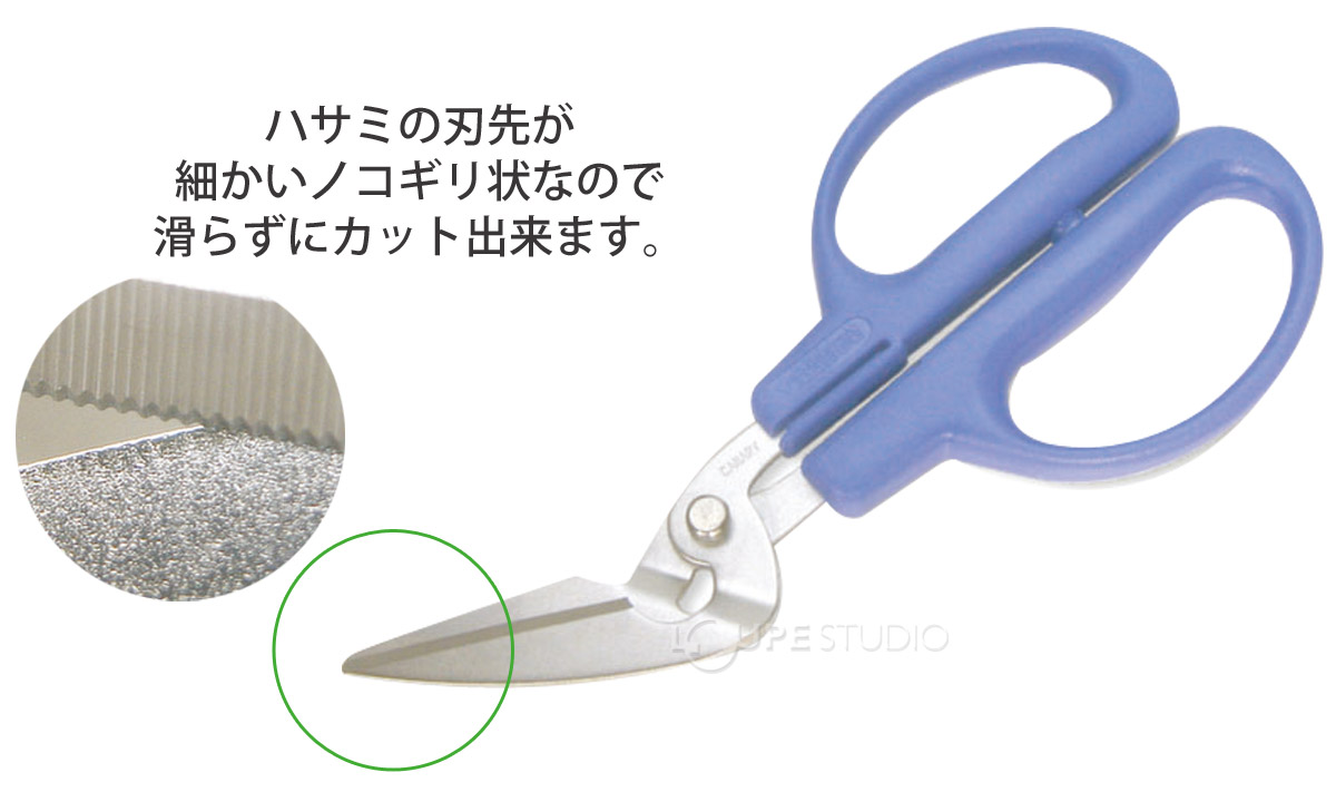本体