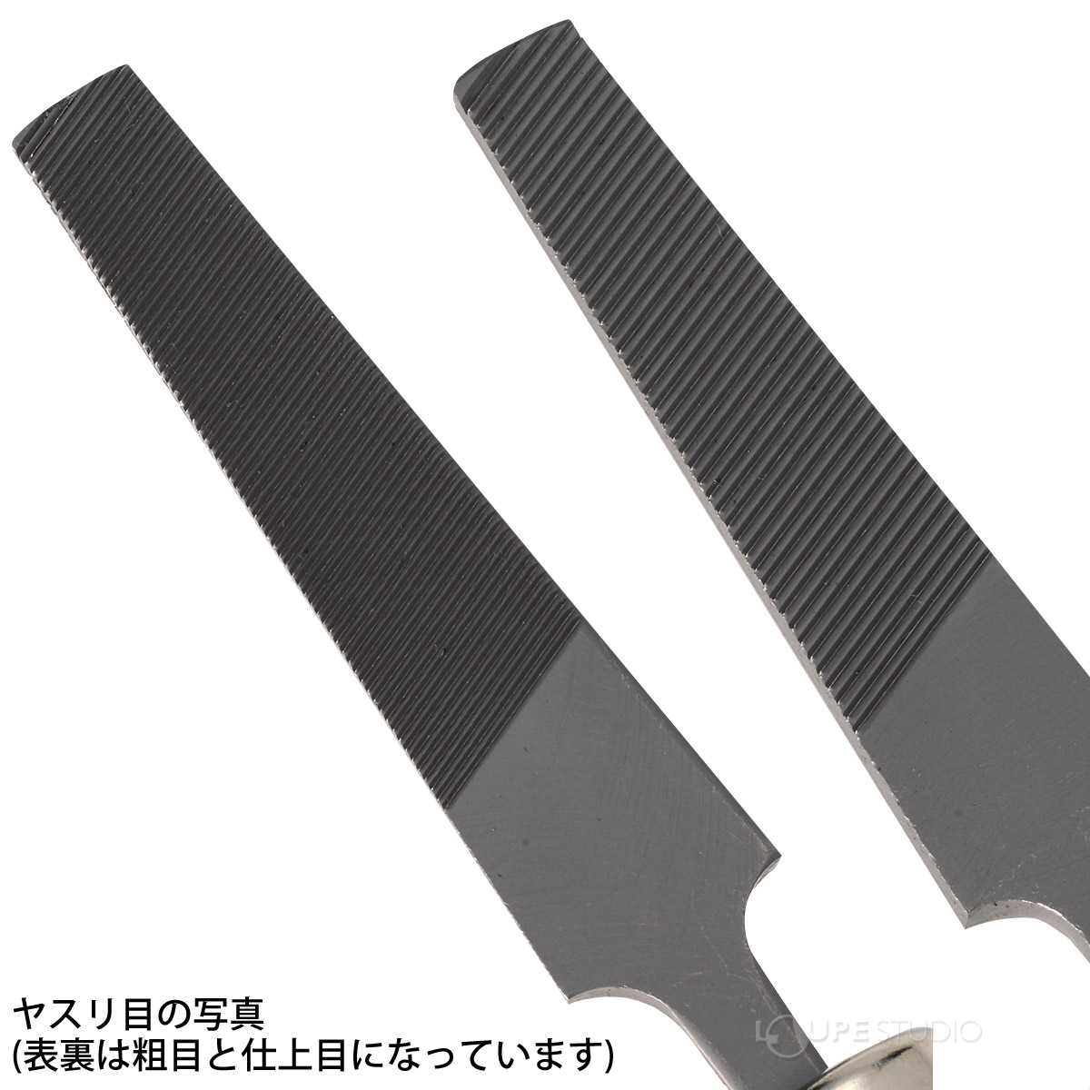 ヤスリ目の写真 