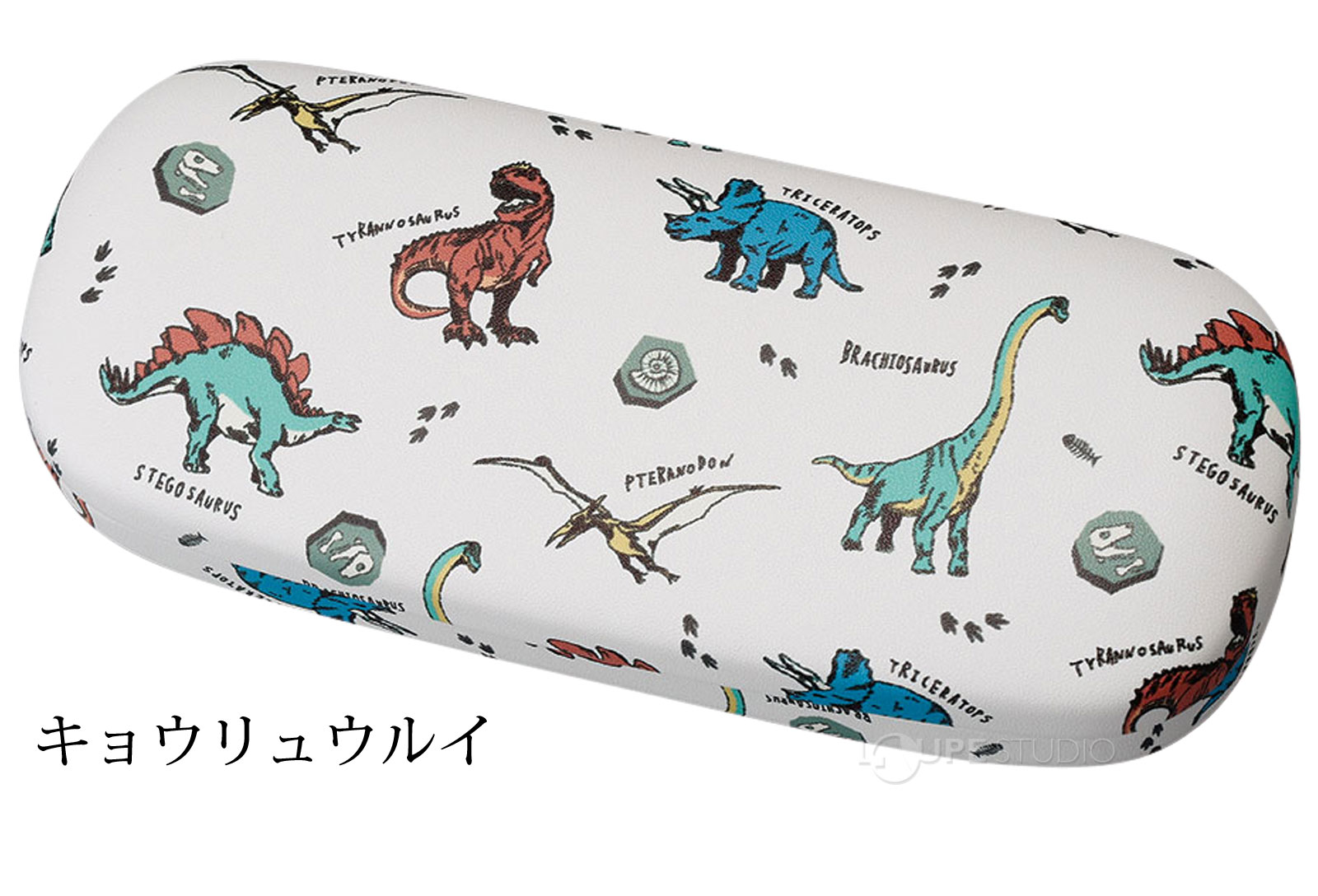 キョウリュウルイ 