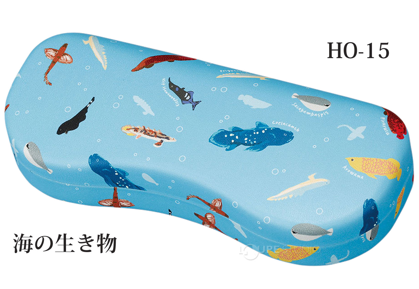 海の生き物 