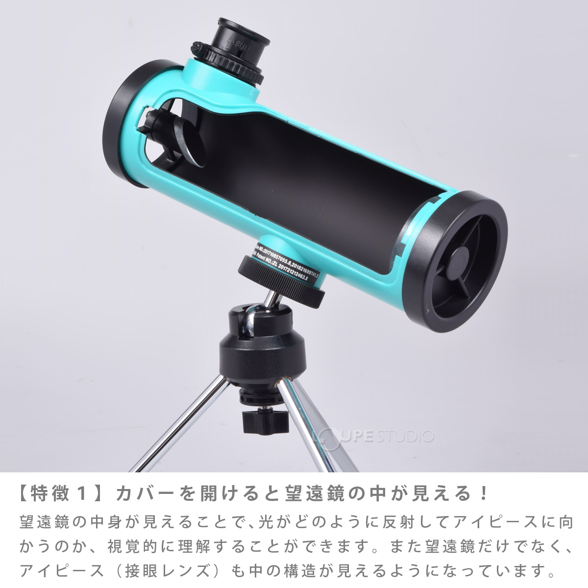 特徴 