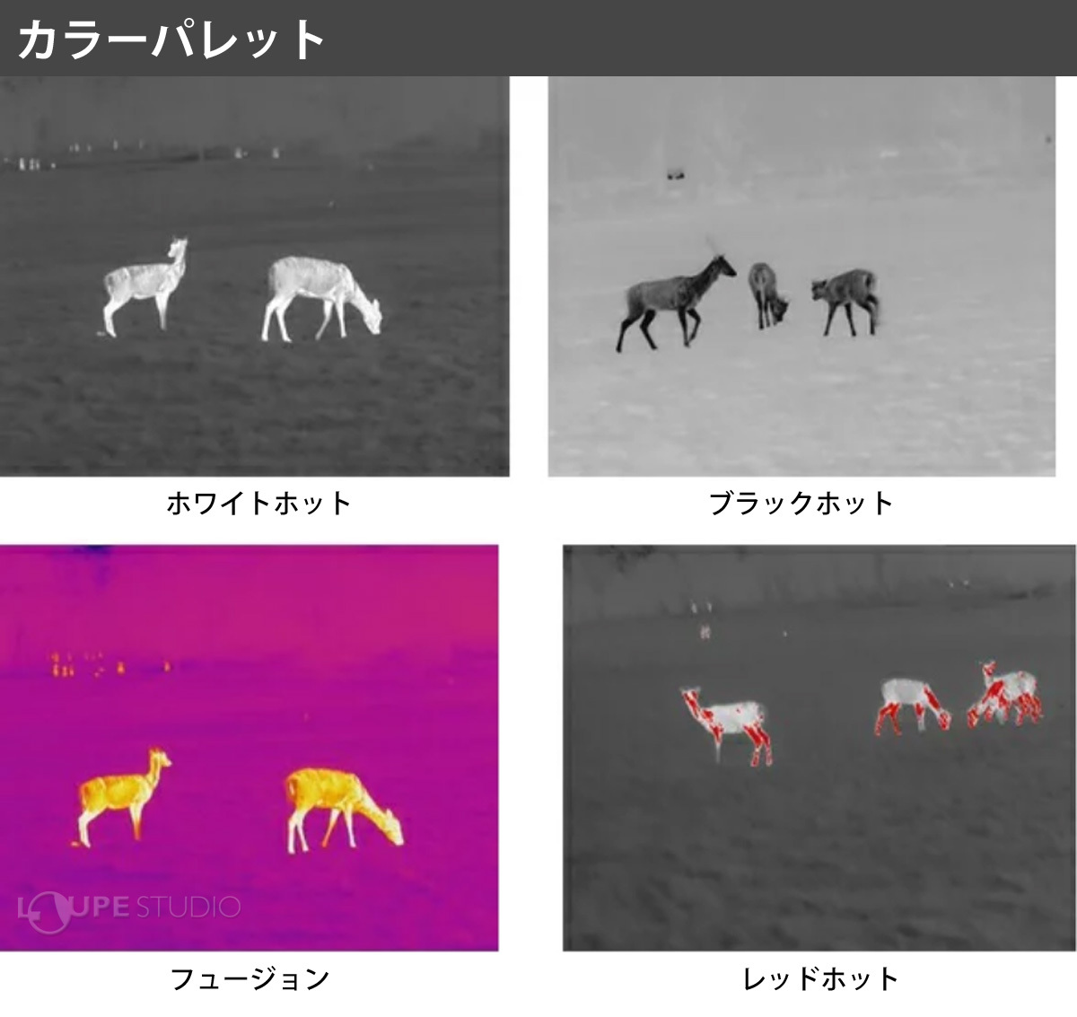 4種類のカラー・パレット 