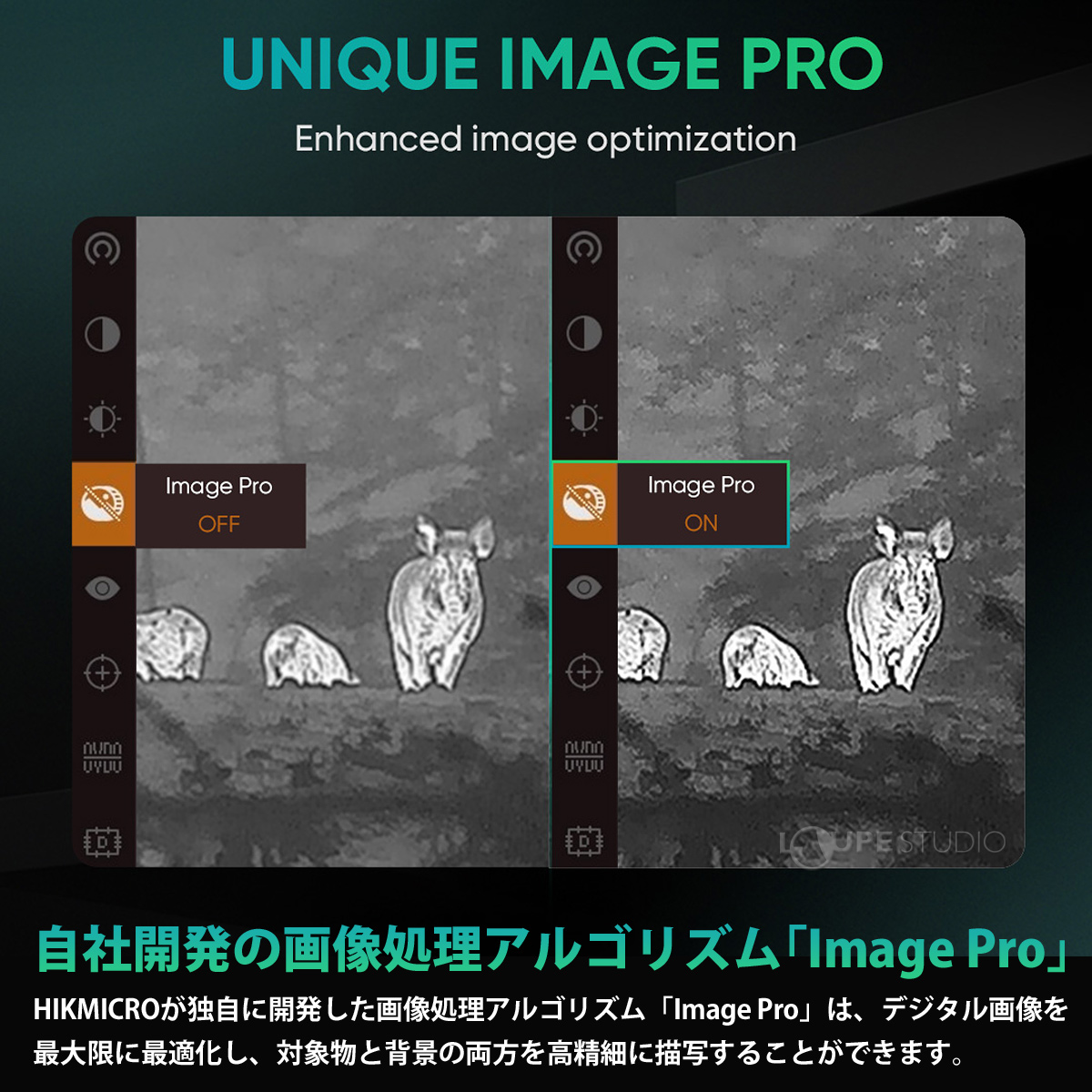 特長