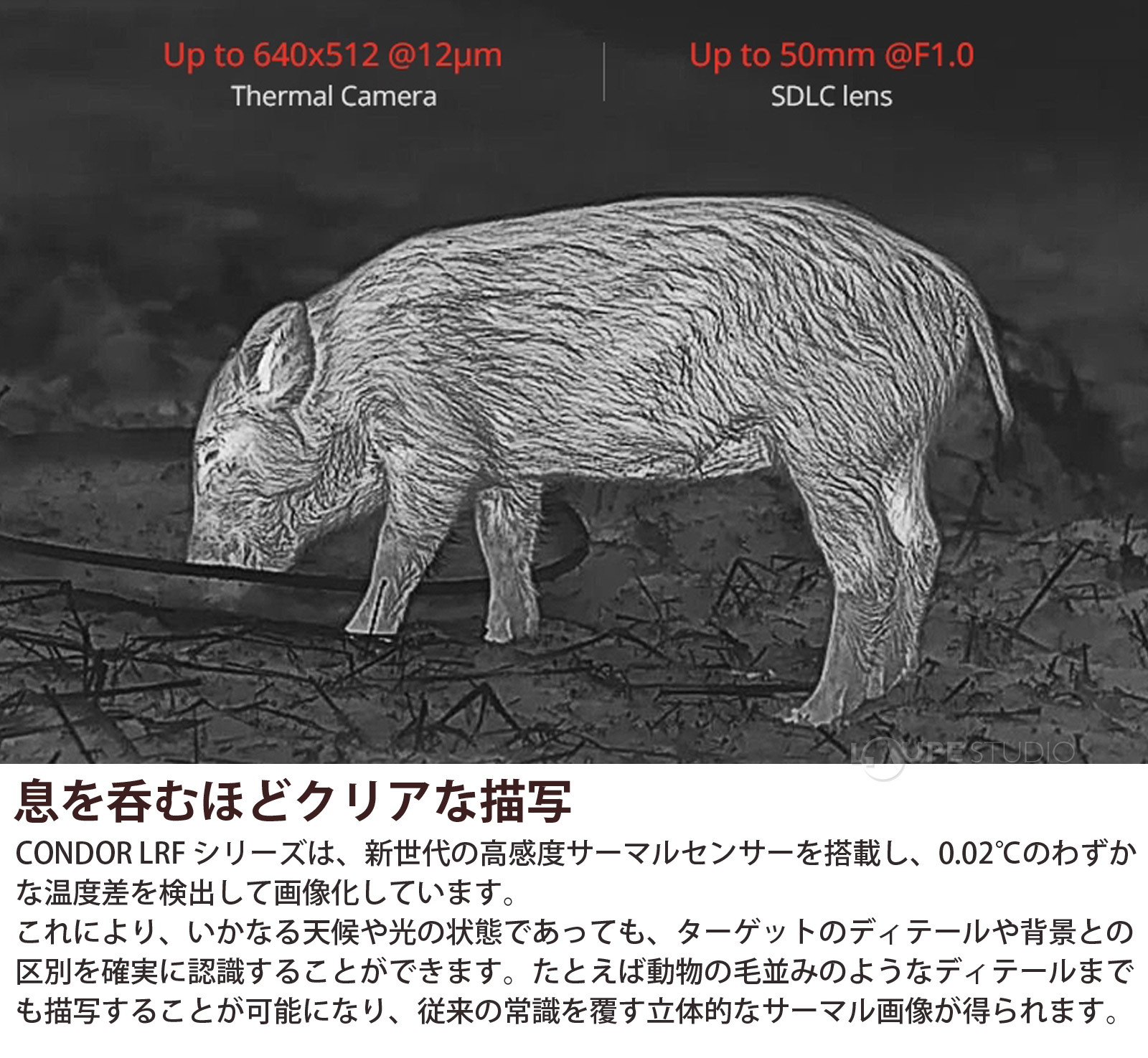 息を呑むほどクリアな描写 