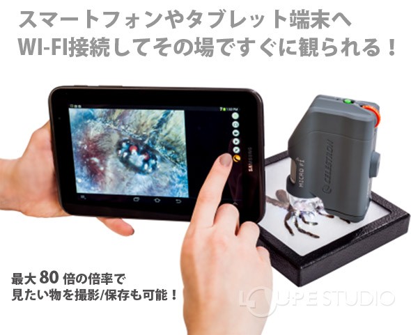 顕微鏡 スマホ セレストロンMicro Fi WIFI内蔵 ハンディタイプ顕微鏡