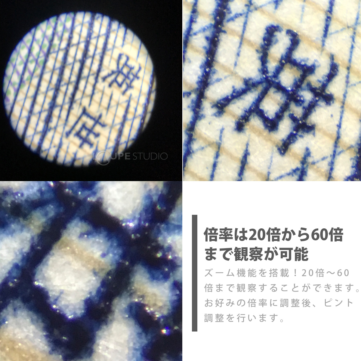 倍率は20倍から60倍まで観察が可能 
