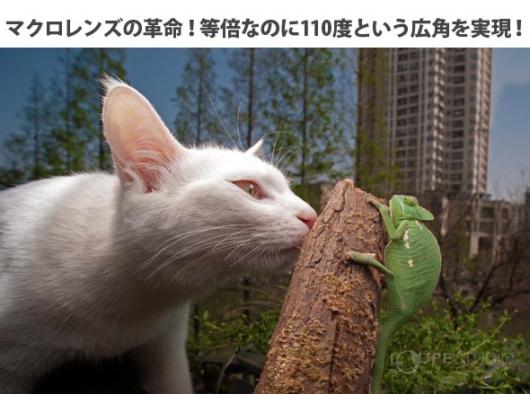 かなりの接写にもかかわらず、被写体にピントが合っていながら背景に何が写っているのかが確認できる。 