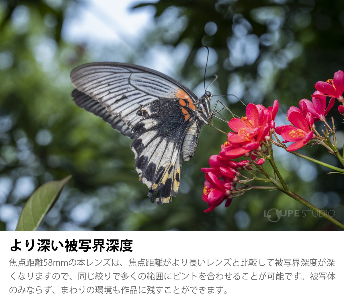 より深い被写界深度 