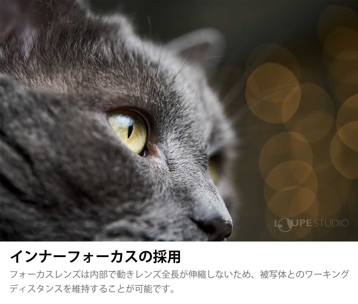 インナーフォーカスの採用 