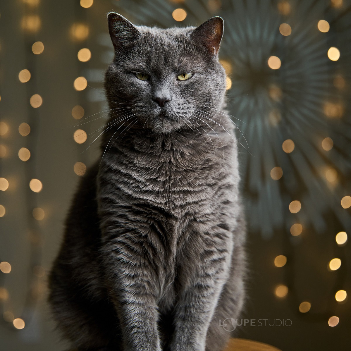 様々な撮影用途に対応 