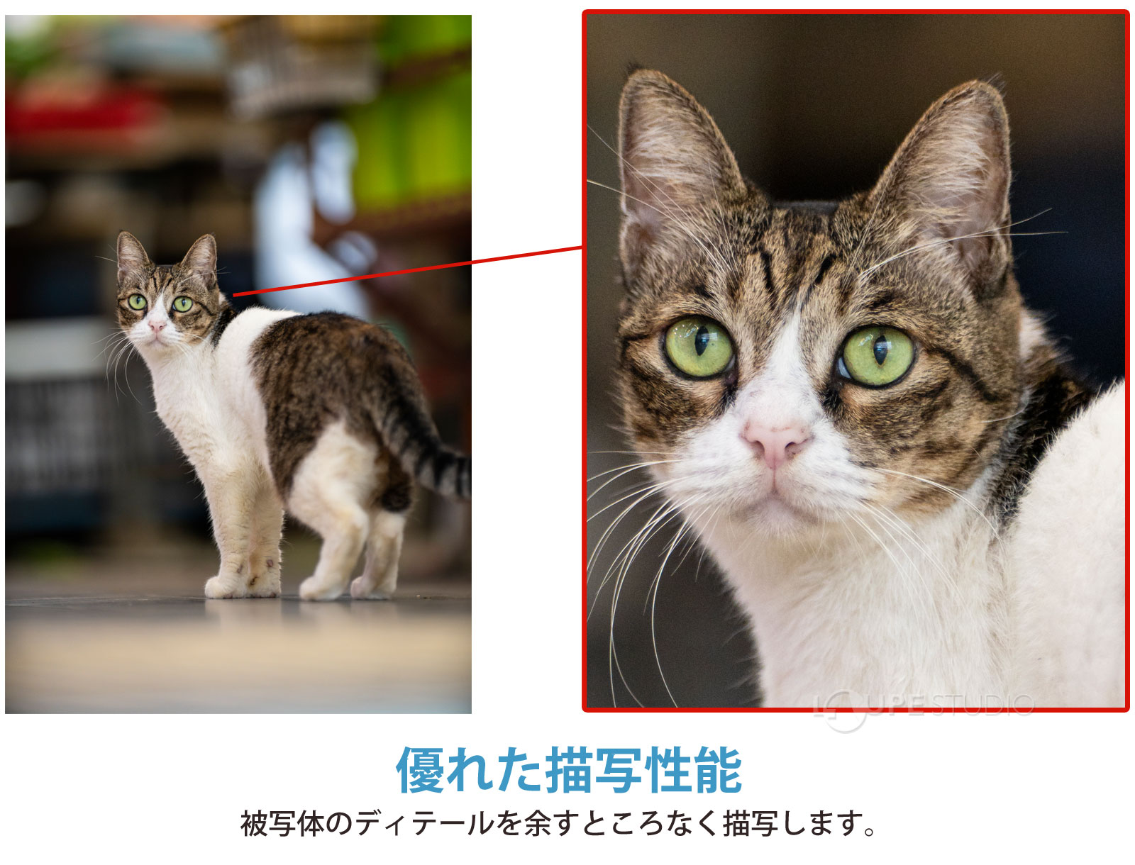 優れた描写性能 