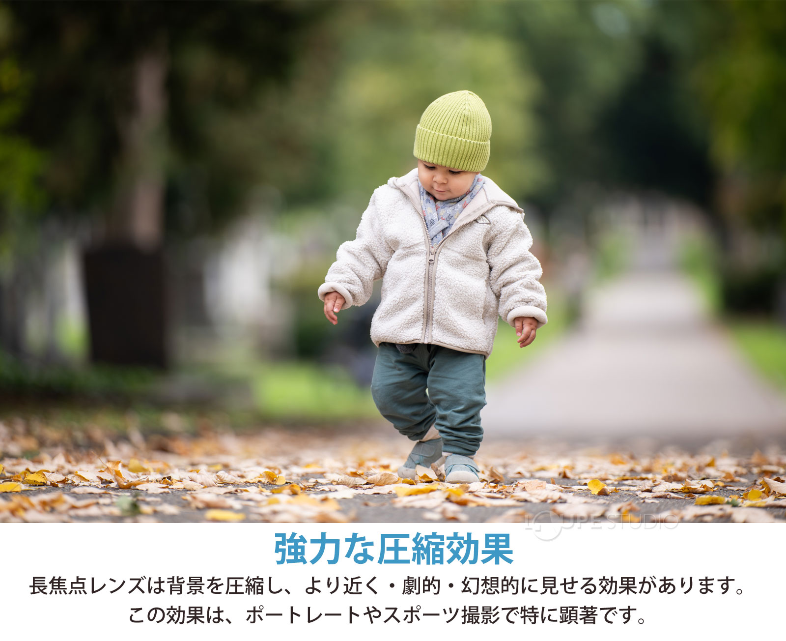 強力な圧縮効果 