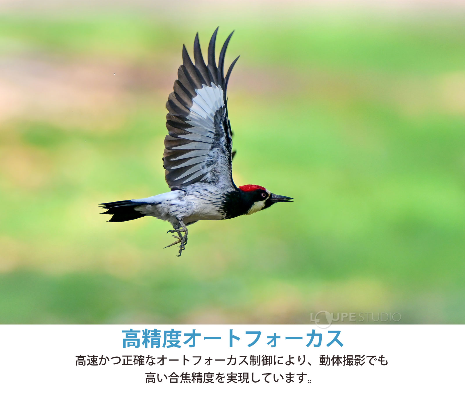 高精度オートフォーカス 