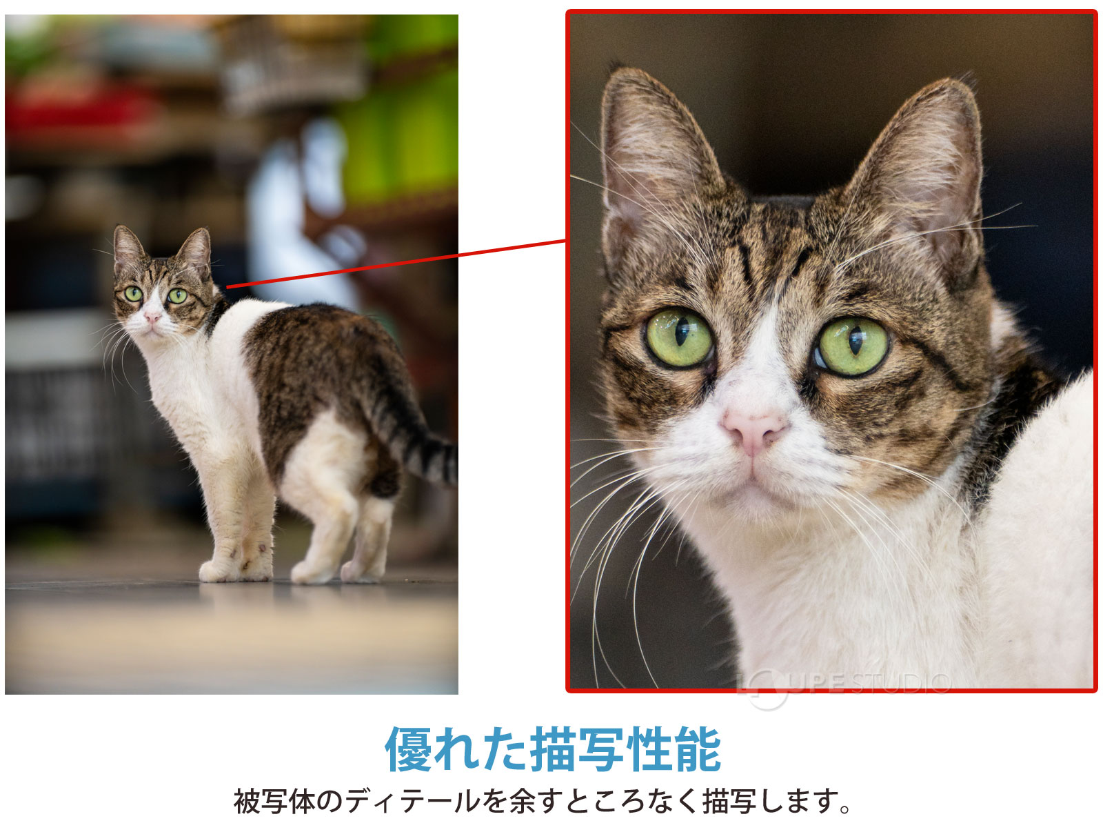 優れた描写性能 