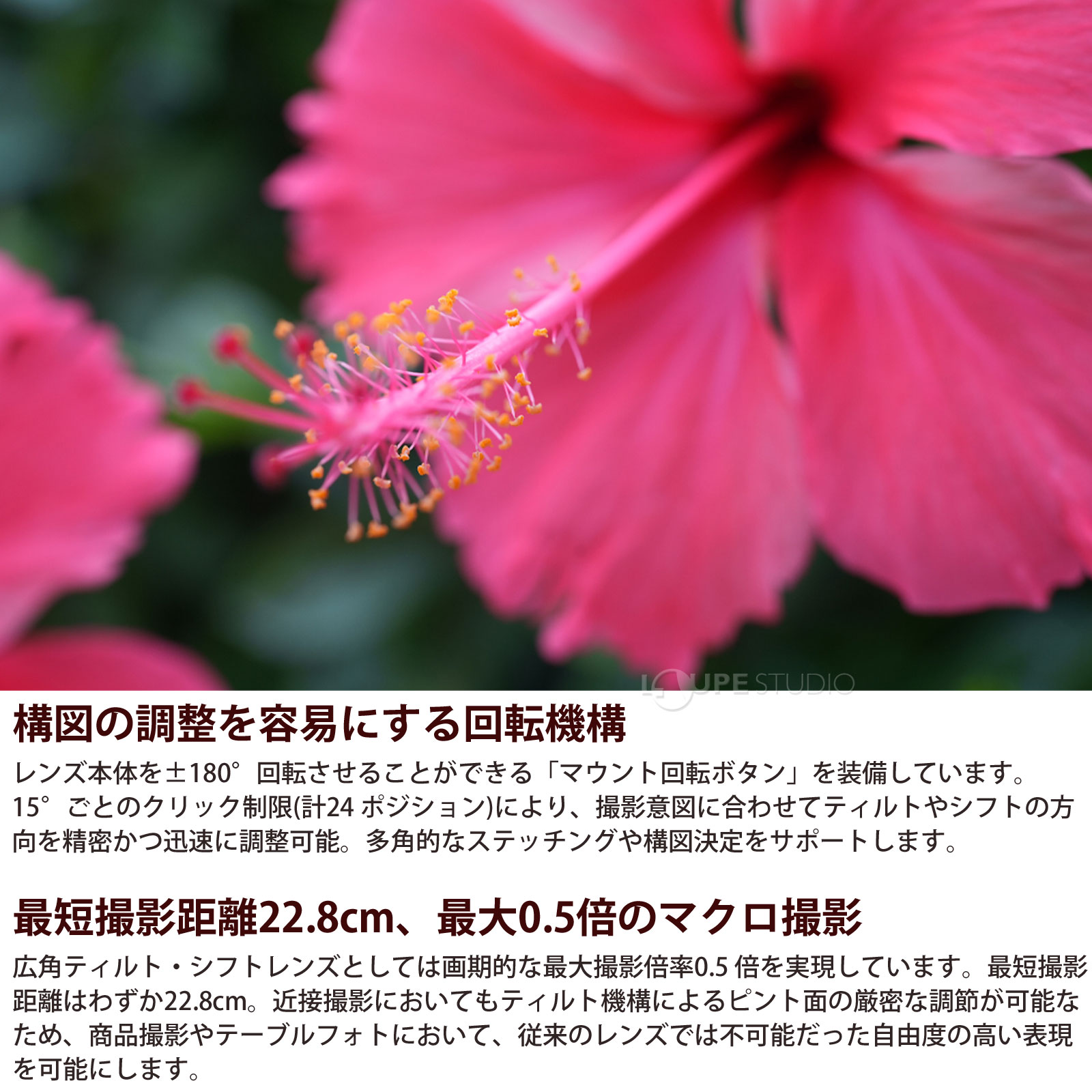 構図の調整を容易にする回転機構