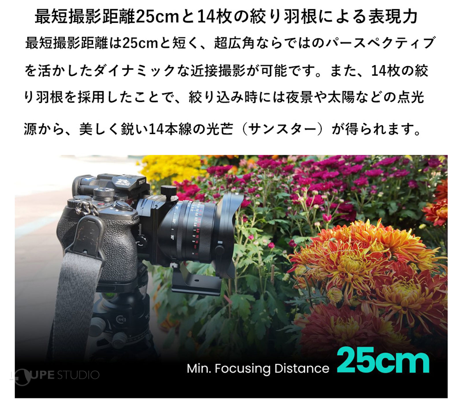 最短撮影距離25cmと14枚の絞り羽根による表現力 