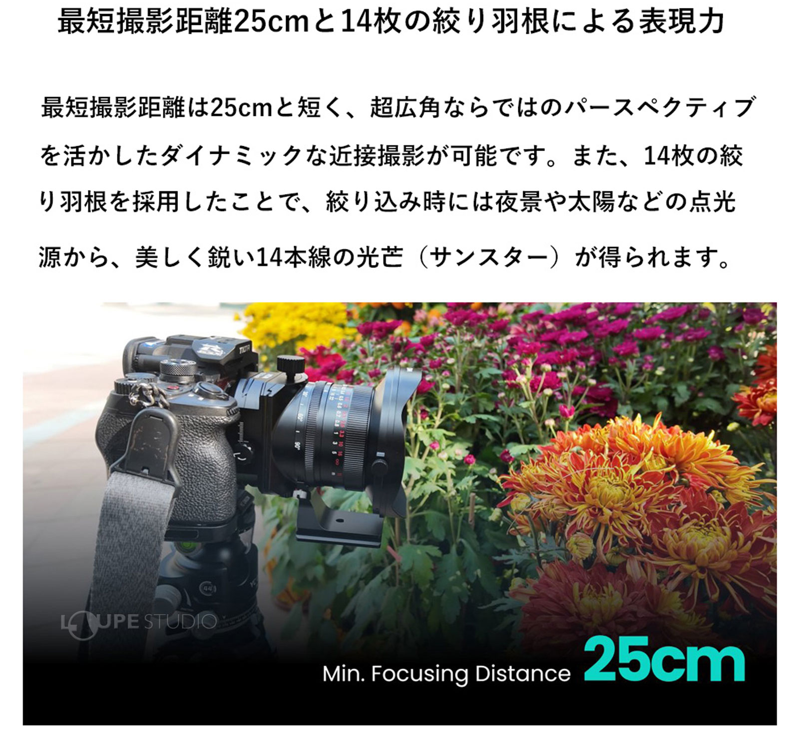 sig-so-212.jpg 