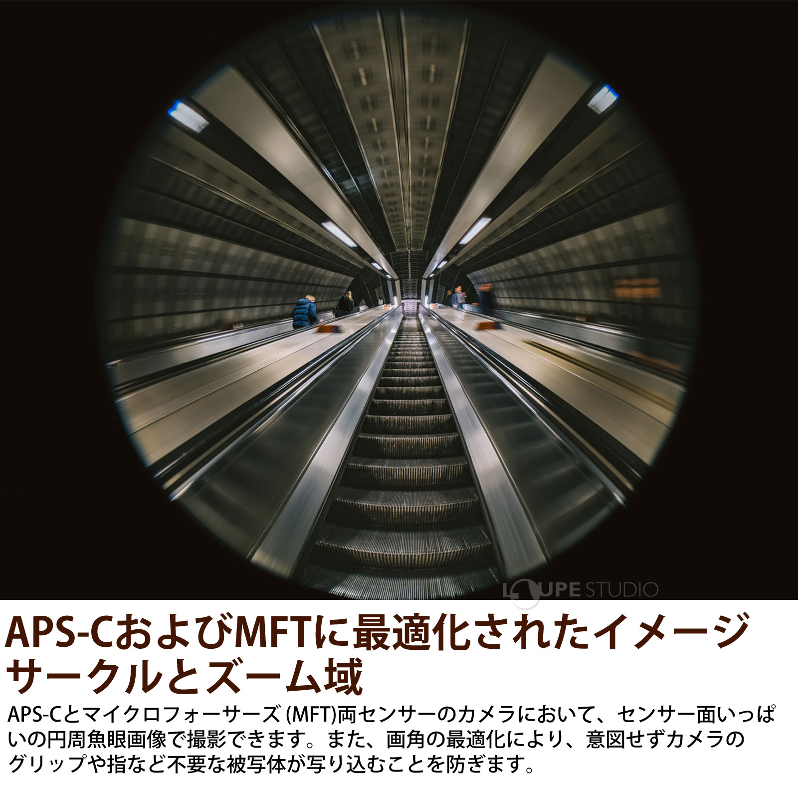 APS-CおよびMFTに最適化されたイメージサークルとズーム域 