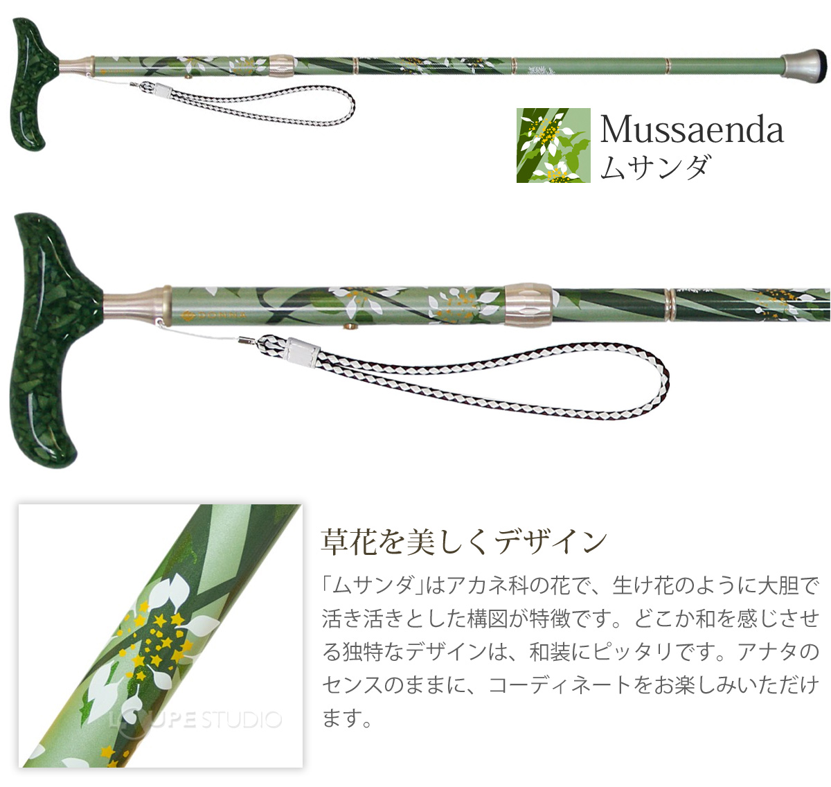 折りたたみ ステッキ グランドカイノス・ドンナ 