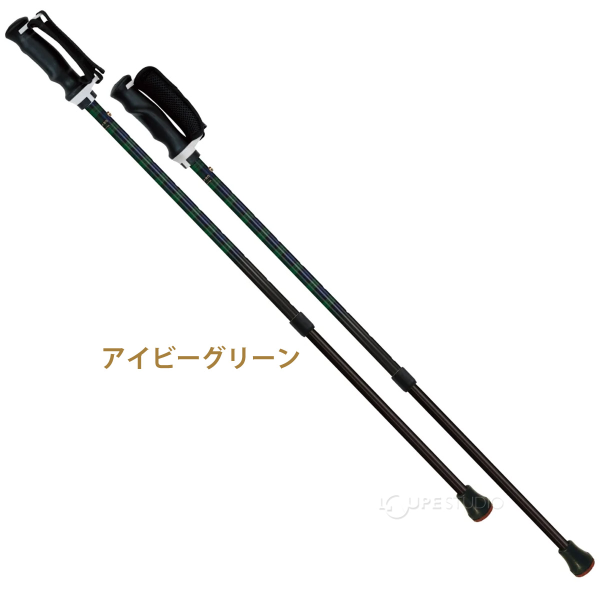 アイビーグリーン 