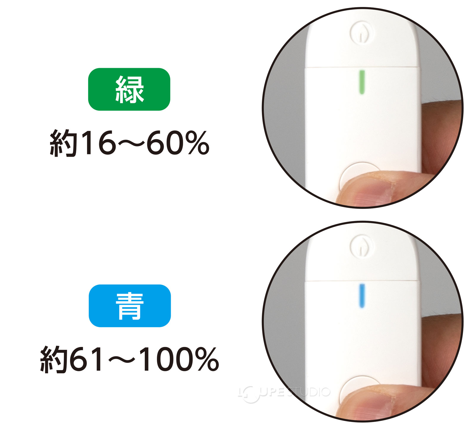 水やりのタイミングがわかる