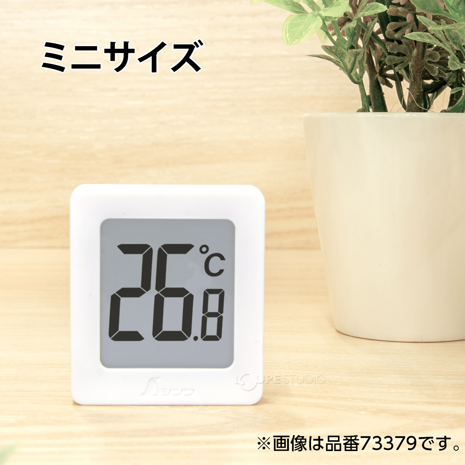 ミニサイズ