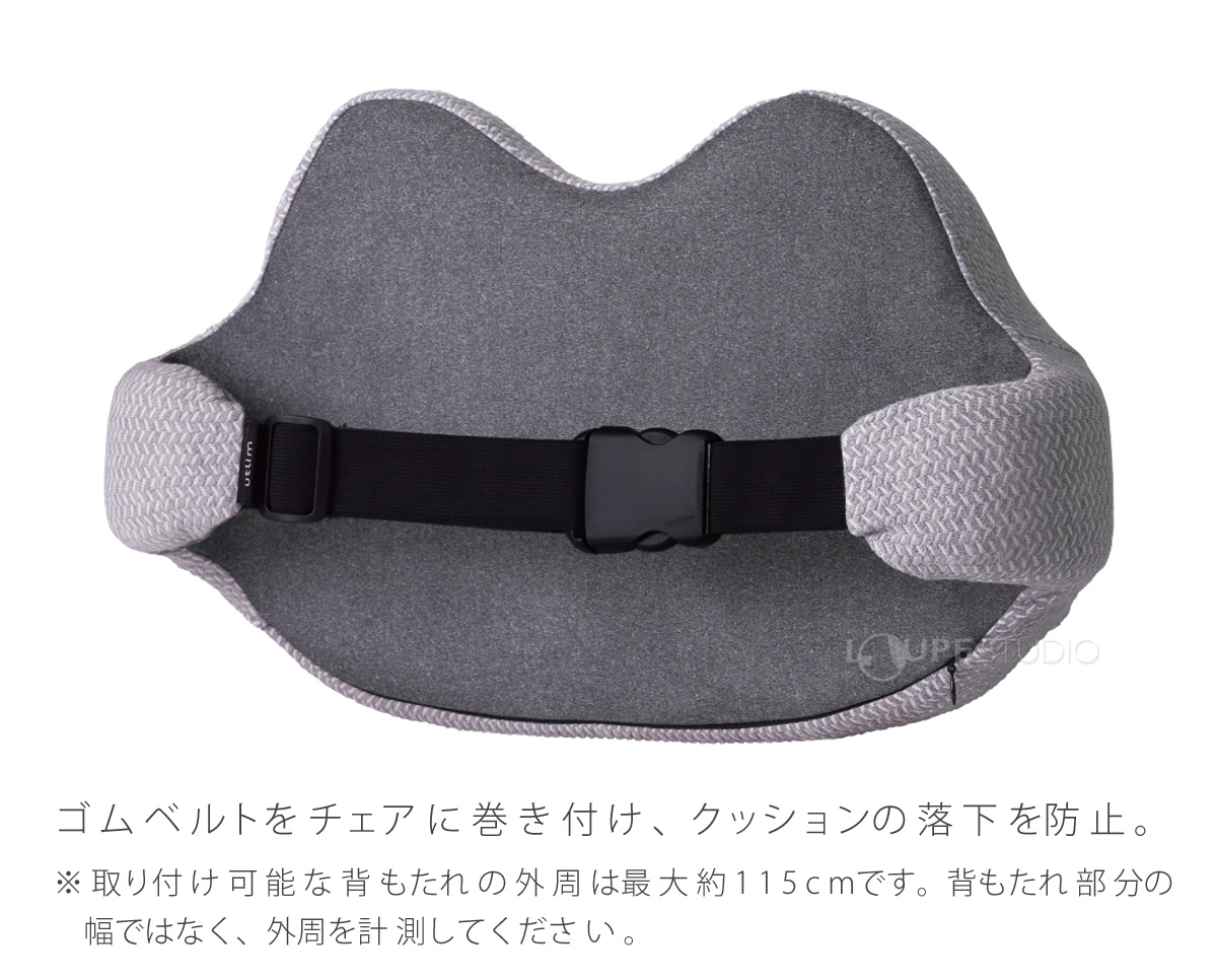 ゴムベルト付 