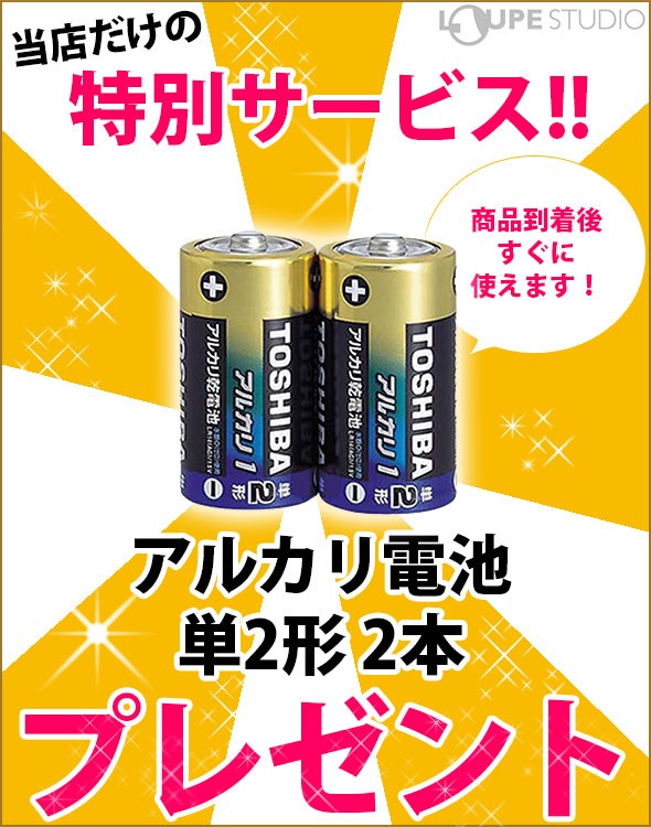 スピードガン 野球 ソフトボール スピードスターV 日本正規品 ブッシュ