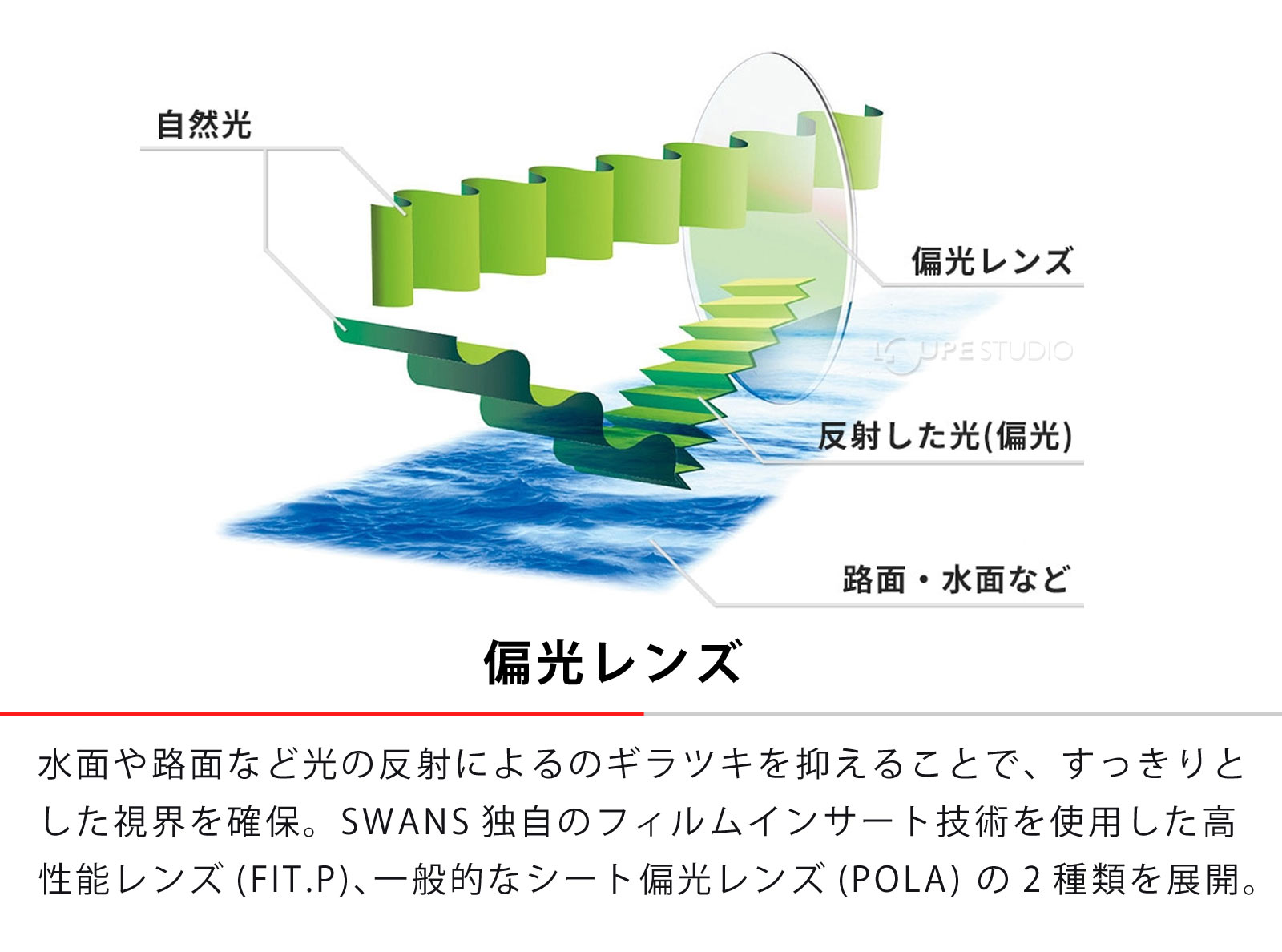 偏光レンズ 